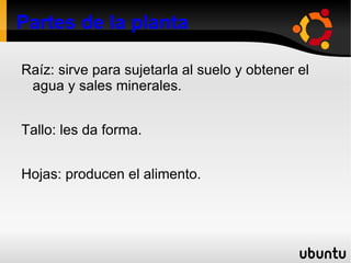 Las plantas Son pluricelulares. 