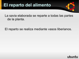 Tallo: les da forma.  