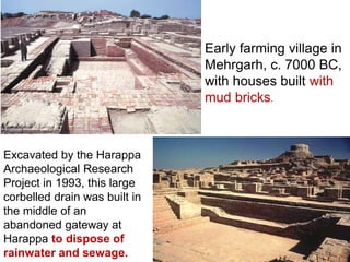Early farming village in
Mehrgarh, c. 7000 BC,
with houses built with
mud bricks.
Excavated by the Harappa
Archaeological Research
Project in 1993, this large
corbelled drain was built in
the middle of an
abandoned gateway at
Harappa to dispose of
rainwater and sewage.
 
