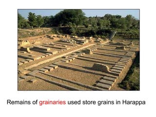 Remains of grainaries used store grains in Harappa
 