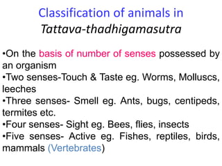Classification of animals in
Tattava-thadhigamasutra
•On the basis of number of senses possessed by
an organism
•Two senses-Touch & Taste eg. Worms, Molluscs,
leeches
•Three senses- Smell eg. Ants, bugs, centipeds,
termites etc.
•Four senses- Sight eg. Bees, flies, insects
•Five senses- Active eg. Fishes, reptiles, birds,
mammals (Vertebrates)
 