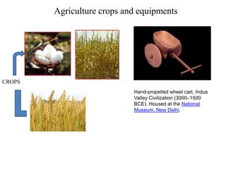 Agriculture crops and equipments
Hand-propelled wheel cart, Indus
Valley Civilization (3000–1500
BCE). Housed at the National
Museum, New Delhi.
CROPS
 