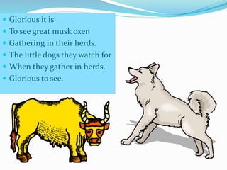  Glorious it is
To see great musk oxen
Gathering in their herds.
The little dogs they watch for
When they gather in herds.
Glorious to see.
