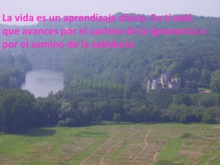 La vida es un aprendizaje diario. En ti está
que avances por el camino de la ignorancia o
por el camino de la sabiduría

 
