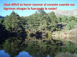 ¡Qué difícil es hacer razonar al corazón cuando sus
lágrimas ahogan la fuerza de la razón!

 