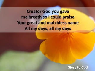 Glory To God (Fee)