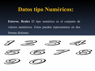Enteros. Reales   El tipo numérico es el conjunto de valores numéricos. Estos pueden representarse en dos formas distintas:  Datos tipo Numéricos:  