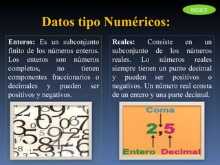 Enteros:  Es un subconjunto finito de los números enteros. Los enteros son números completos, no tienen componentes fraccionarios o decimales y pueden ser positivos y negativos. Datos tipo Numéricos:  Reales:  Consiste en un subconjunto de los números reales. Lo números reales siempre tienen un punto decimal y pueden ser positivos o negativos. Un número real consta de un entero y una parte decimal. ÍNDICE 