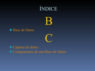 ÍNDICE B Base de Datos C Captura de datos. Componentes de una Base de Datos 