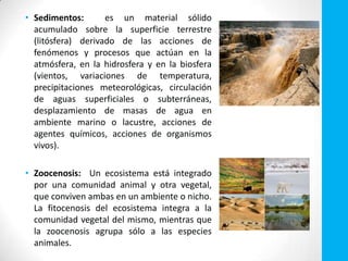 • Sedimentos: es un material sólido
acumulado sobre la superficie terrestre
(litósfera) derivado de las acciones de
fenómenos y procesos que actúan en la
atmósfera, en la hidrosfera y en la biosfera
(vientos, variaciones de temperatura,
precipitaciones meteorológicas, circulación
de aguas superficiales o subterráneas,
desplazamiento de masas de agua en
ambiente marino o lacustre, acciones de
agentes químicos, acciones de organismos
vivos).
• Zoocenosis: Un ecosistema está integrado
por una comunidad animal y otra vegetal,
que conviven ambas en un ambiente o nicho.
La fitocenosis del ecosistema integra a la
comunidad vegetal del mismo, mientras que
la zoocenosis agrupa sólo a las especies
animales.
 