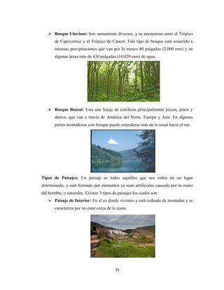 35
 Bosque Lluvioso: Son sumamente diversos, y se encuentran entre el Trópico
de Capricornio y el Trópico de Cáncer. Este tipo de bosque está sometido a
intensas precipitaciones que van por lo menos 80 pulgadas (2,000 mm) y en
algunas áreas más de 430 pulgadas (10,920 mm) de agua.
 Bosque Boreal: Esta una franja de coníferas principalmente píceas, pinos y
abetos, que van a través de América del Norte, Europa y Asia. En algunas
partes montañosas este bosque puede extenderse más de lo usual hacia el sur.
Tipos de Paisajes: Un paisaje es todos aquellos que nos rodea en un lugar
determinado, y está formado por elementos ya sean artificiales causado por la mano
del hombre; o naturales. Existen 3 tipos de paisajes los cuales son:
 Paisaje de Interior: En el es donde vivimos y está rodeado de montañas y se
caracteriza por no estar cerca de la costa.
 