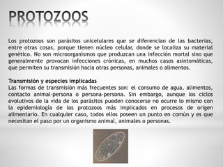 Los protozoos son parásitos unicelulares que se diferencian de las bacterias, 
entre otras cosas, porque tienen núcleo celular, donde se localiza su material 
genético. No son microorganismos que produzcan una infección mortal sino que 
generalmente provocan infecciones crónicas, en muchos casos asintomáticas, 
que permiten su transmisión hacia otras personas, animales o alimentos. 
Transmisión y especies implicadas 
Las formas de transmisión más frecuentes son: el consumo de agua, alimentos, 
contacto animal-persona o persona-persona. Sin embargo, aunque los ciclos 
evolutivos de la vida de los parásitos pueden conocerse no ocurre lo mismo con 
la epidemiología de los protozoos más implicados en procesos de origen 
alimentario. En cualquier caso, todos ellos poseen un punto en común y es que 
necesitan el paso por un organismo animal, animales o personas. 
 
