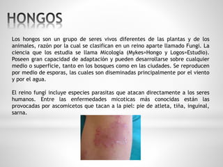 Los hongos son un grupo de seres vivos diferentes de las plantas y de los 
animales, razón por la cual se clasifican en un reino aparte llamado Fungi. La 
ciencia que los estudia se llama Micología (Mykes=Hongo y Logos=Estudio). 
Poseen gran capacidad de adaptación y pueden desarrollarse sobre cualquier 
medio o superficie, tanto en los bosques como en las ciudades. Se reproducen 
por medio de esporas, las cuales son diseminadas principalmente por el viento 
y por el agua. 
El reino fungí incluye especies parasitas que atacan directamente a los seres 
humanos. Entre las enfermedades micoticas más conocidas están las 
provocadas por ascomicetos que tacan a la piel: pie de atleta, tiña, inguinal, 
sarna. 
 