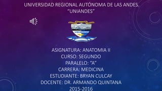 UNIVERSIDAD REGIONAL AUTÓNOMA DE LAS ANDES
“UNIANDES”
ASIGNATURA: ANATOMIA II
CURSO: SEGUNDO
PARALELO: “A”
CARRERA: MEDICINA
ESTUDIANTE: BRYAN CULCAY
DOCENTE: DR. ARMANDO QUINTANA
2015-2016
 
