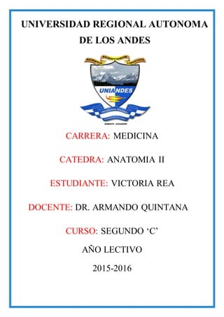 UNIVERSIDAD REGIONAL AUTONOMA
DE LOS ANDES
CARRERA: MEDICINA
CATEDRA: ANATOMIA II
ESTUDIANTE: VICTORIA REA
DOCENTE: DR. ARMANDO QUINTANA
CURSO: SEGUNDO ‘C’
AÑO LECTIVO
2015-2016
 