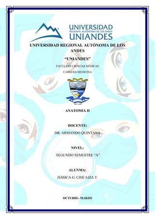 UNIVERSIDAD REGIONAL AUTÓNOMA DE LOS
ANDES
“UNIANDES”
FACULTAD CIENCIAS MÉDICAS
CARRERA MEDICINA
ANATOMIA II
DOCENTE:
DR. ARMANDO QUINTANA
NIVEL:
SEGUNDO SEMESTRE “A”
ALUNMA:
JESSICA G. CHICAIZA T.
OCTUBRE- MARZO
 