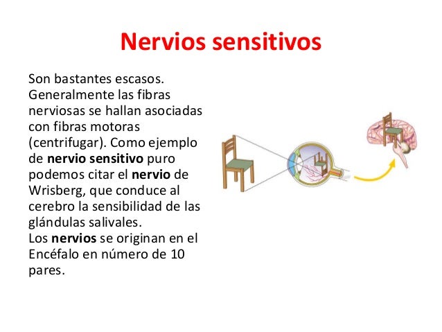 Glosario