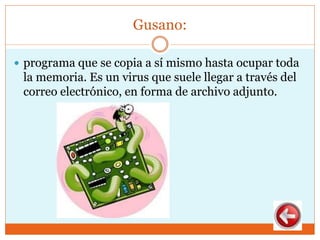 Gusano:
 programa que se copia a sí mismo hasta ocupar toda
la memoria. Es un virus que suele llegar a través del
correo electrónico, en forma de archivo adjunto.
 