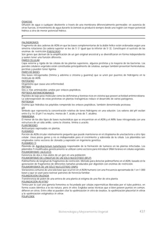 437
Biotecnología y Mejoramiento Vegetal
ÓSMOSIS
Difusión de agua o cualquier disolvente a través de una membrana diferencialmente permeable; en ausencia de
otras fuerzas, el movimiento de agua durante la ósmosis se producirá siempre desde una región con mayor potencial
hídrico a otra de menor potencial hídrico.
P
PALÍNDROMOS
Fragmento de dos cadenas de ADN en que las bases complementarias de la doble hélice están ordenadas según una
simetría rotaciones (la cadena superior se lee de 5’-3’ igual que la inferior de 5’-3). Constituyen el sustrato de las
enzimas de restricción.PARÁLOGO
Son genes que derivan de la amplificación de un gen original ancestral y se diversificaron en forma independiente
y suelen tener una función diferente.
PARED CELULAR
Capa externa y rígida de las células de las plantas superiores, algunos protistas y la mayoría de las bacterias. Las
paredes celulares vegetales están constituidas principalmente de celulosa, aunque también presentan hemicelulosa,
pectinas y pueden tener lignina.
PARES DE BASES
Dos bases nitrogenadas (timina y adenina o citosina y guanina) que se unen por puentes de hidrógeno en la
molécula de ADN.
PATÓGENO
Organismo que causa una enfermedad.
PÉPTIDO
Dos o más aminoácidos unidos por enlaces peptídicos.
PÉPTIDOS ANTIMICROBIANOS
Péptidos de bajo peso molecular como las defensinas y tioninas ricos en cisteína que poseen actividad antimicrobiana.
La sobreexpresión de estas proteínas en plantas transgénicas reduce el desarrollo de varios patógenos.
PEPTIDASA
Enzima que hidroliza los péptidos rompiendo los enlaces peptídicos, también denominada proteasa.
pH
Símbolo que representa la concentración relativa de iones hidrógeno en una solución. Los valores del pH oscilan
entre 0 y 14. El pH 7 es neutro, menos de 7, ácido y más de 7, alcalino.
PIRIMIDINA
El menor de los dos tipos de bases nucleotídicas que se encuentran en el ADN y el ARN; base nitrogenada con una
estructura de un sólo anillo, como la citosina, timina o uracilo.
PLANTIBODIES
Anticuerpos expresados en plantas.
PLÁSMIDO
Porción de ADN circular relativamente pequeño que puede mantenerse en el citoplasma de una bacteria u otro tipo
celular. Lleva pocos genes y no es indispensable para el crecimiento y sobrevida de la célula. Los plásmidos son
empleados como vectores de clonado y expresión en ingeniería genética.
PLÁSMIDO Ti
Plásmido de Agrobacterium tumefaciens responsable de la formación de tumores en las plantas infectadas. Los
plásmidos Ti modificados genéticamente se utilizan como vectores para introducir DNA foráneo en células vegetales.
POLIMORFISMO (ALÉLICO)
Existencia de dos o más alelos de un gen en una población.
POLIMORFISMO DE LONGITUD DE UN SÓLO NUCEÓTIDO (RFLP)
Polimorfismo de longitud de fragmentos de restricción. Método para detectar polimorfismo en el ADN, basado en la
generación de fragmentos de diferentes tamaños producidos por digestión con enzimas de restricción.
POLIMORFISMOS DE UN SÓLO NUCLEÓTIDO (SNPs)
Variaciones comunes de una sola base que ocurren en el ADN humano con una frecuencia aproximada de 1 en 1.000
bases y que se usan para rastrear patrones de herencia familiar.
POLINIZACIÓN CRUZADA
Transferencia de polen de una antera de una planta al estigma de una flor de otra planta.
POLINIZACIÓN IN VITRO
Ténica por la cual una gameta femenina es fecundada por células espermáticas liberadas por el tubo polínico, en
forma «casi» idéntica a la vía natura, pero in vitro. Engloba varias técnicas que si bien poseen puntos en común,
difieren en otros. Entre ellas se pueden citar la «polinización in vitro de óvulos», la «polinización placental in vitro»
y la «polinización estigmática in vitro».
POLIPLOIDE
 