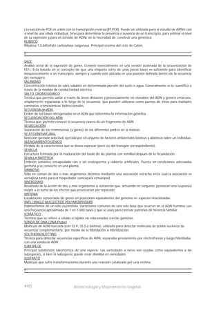 440 Biotecnología y Mejoramiento Vegetal
La reacción de PCR en unión con la transcripción reversa (RT-PCR). Puede ser utilizada para el estudio de ARNm casi
a nivel de una célula individual. Sirve para determinar la presencia o ausencia de un transcripto, para estimar el nivel
de su expresión y para el clonado de ADNc sin la necesidad de construir una genoteca.
RUBISCO
Ribulosa 1,5 bifosfato carboxilasa oxigenasa. Principal enzima del ciclo de Calvin.
S
SAGE
Análisis serial de la expresión de genes. Consiste esencialmente en una versión acelerada de la secuenciación de
ESTs. Está basada en el concepto de que una etiqueta corta de unas pocas bases es suficiente para identificar
inequívocamente a un transcripto, siempre y cuando esté ubicada en una posición definida dentro de la secuencia
del mensajero.
SALINIDAD
Concentración relativa de sales solubles en determinada porción del suelo o agua. Generalmente se la cuantifica a
través de la medida de conductividad eléctrica
SALTO CROMOSÓMICO
Técnica que permite saltar a través de áreas distantes y potencialmente no clonables del ADN y genera «marcas»,
ampliamente espaciadas a lo largo de la secuencia, que pueden utilizarse como puntos de inicio para múltiples
caminatas cromosómicas bidireccionales.
SECUENCIA de ADN
Orden de las bases nitrogenadas en el ADN que determina la información genética.
SECUENCIACIÓN DEL ADN
Técnica que permite conocer la secuencia exacta de un fragmento de ADN.
SEGREGACIÓN
Separación de los cromosomas (y genes) de los diferentes padres en la meiosis.
SELECCIÓN NATURAL
Selección (presión selectiva) ejercida por el conjunto de factores ambientales bióticos y abióticos sobre un individuo.
SILENCIAMIENTO GÉNICO
Pérdida de la característica que se desea expresar (pero no del transgén correspondiente).
SEMILLA
Estructura formada por la maduración del óvulo de las plantas con semillas después de la fecundación.
SEMILLA SINTÉTICA
Embrión somático encapsulado con o sin endosperma y cubierta artificiales. Puesta en condiciones adecuadas
germina y se convierte en una planta.
SIMBIOSIS
Vida en común de dos o más organismos distintos mediante una asociación estrecha en la cual la asociación es
ventajosa tanto para el hospedador como para el huésped.
SINERGISMO
Resultado de la acción de dos o más organismos o sustancias que, actuando en conjunto, provocan una respuesta
mayor a la suma de los efectos que provocarían por separado.
SINTENIA
Localización conservada de genes en posiciones equivalentes del genoma en especies relacionadas.
SNPs (SINGLE NUCLEOTIDE POLYMORPHISMS)
Polimorfismos de un sólo nucleótido. Variaciones comunes de una sola base que ocurren en el ADN humano con
una frecuencia aproximada de 1 en 1.000 bases y que se usan para rastrear patrones de herencia familiar.
SOMÁTICO
Término que se refiere a células o tejidos no relacionados con las gametas.
SONDA DE DNA (DNA Probe)
Molécula de ADN marcada (con 32 P, 35 S o biotina), utilizada para detectar moléculas de ácidos nucleicos de
secuencia complementaria, por medio de la hibridación o hibridización.
SOUTHERN BLOTTING
Técnica para detectar secuencias específicas de ADN, separadas previamente por electroforesis y luego hibridadas
con una sonda de ADN.
SUBESPECIE
Principal subdivisión taxonómica de una especie. Las variedades a veces son usadas como equivalentes a las
subespecies, o bien la subespecie puede estar dividida en variedades.
SUSTRATO
Molécula que sufre transformaciones durante una reacción catalizada por una enzima.
T
 