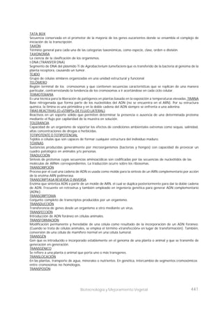 441
Biotecnología y Mejoramiento Vegetal
TATA BOX
Secuencia conservada en el promotor de la mayoría de los genes eucariontes donde se ensambla el complejo de
iniciación de la transcripción.
TAXÓN
Término general para cada una de las categorías taxonómicas, como especie, clase, orden o división.
TAXONOMÍA
La ciencia de la clasificación de los organismos.
t-DNA (TRANSFER DNA)
Segmento de DNA del plásmido Ti de Agrobacterium tumefaciens que es transferido de la bacteria al genoma de la
planta receptora, causando un tumor.
TEJIDO
Grupo de células similares organizadas en una unidad estructural y funcional
TELÓMERO
Región terminal de los cromosomas y que contienen secuencias características que se replican de una manera
particular, contrarrestando la tendencia de los cromosomas a ir acortándose en cada ciclo celular.
TERMOTERAPIA
Es una técnica para la liberación de patógenos en plantas basada en la exposición a temperaturas elevadas. TIMINA
Base nitrogenada que forma parte de los nucleótidos del ADN (no se encuentra en el ARN). Por su estructura
química, la timina es una pirimidina y en la doble cadena del ADN siempre se enfrenta a una adenina.
TIRAS REACTIVAS (O «STRIPS» DE FLUJO LATERAL)
Reactivos en un soporte sólido que permiten determinar la presencia o ausencia de una determinada proteína
mediante el flujo por capilaridad de la muestra en solución.
TOLERANCIA
Capacidad de un organismo de soportar los efectos de condiciones ambientales extremas como sequía, salinidad,
altas concentraciones de drogas o herbicidas.
TOTIPOTENTE O TOTIPOTENCIAL
Tejidos o células que son capaces de formar cualquier estructura del individuo maduro.
TOXINAS
Sustancias producidas generalmente por microorganismos (bacterias y hongos) con capacidad de provocar un
cuadro patológico en animales y/o personas.
TRADUCCIÓN
Síntesis de proteínas cuyas secuencias aminoacídicas son codificadas por las secuencias de nucleótidos de las
moléculas de ARNm correspondientes. La traducción ocurre sobre los ribosomas.
TRANSCRIPCIÓN
Proceso por el cual una cadena de ADN es usada como molde para la síntesis de un ARN complementario por acción
de la enzima ARN polimerasa.
TRANSCRIPTASA REVERSA O INVERSA
Enzima que sintetiza ADN a partir de un molde de ARN, el cual se duplica posteriormente para dar la doble cadena
de ADN. Frecuente en retrovirus y también empleado en ingeniería genética para generar ADN complementario
(ADNc).
TRANSCRIPTOMA
Conjunto completo de transcriptos producidos por un organismo.
TRANSDUCCIÓN
Transferencia de genes desde un organismo a otro mediante un virus.
TRANSFECCIÓN
Introducción de ADN foráneo en células animales.
TRANSFORMACIÓN
Modificación permanente y heredable de una célula como resultado de la incorporación de un ADN foráneo.
(Cuando se trata de células animales, se emplea el término «transfección» en lugar de transformación). También,
conversión de una célula de mamífero normal en una célula tumoral.
TRANSGÉN
Gen que es introducido e incorporado establemente en el genoma de una planta o animal y que se transmite de
generación en generación.
TRANSGÉNICO
Se refiere a una planta o animal que porta uno o más transgenes.
TRANSLOCACIÓN
En las plantas, transporte de agua, minerales o nutrientes. En genética, intercambio de segmentos cromosómicos
entre cromosomas no homólogos.
TRANSPOSÓN
 