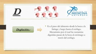 D
• Es el paso del alimento desde la boca a la
faringe y luego hasta el esófago.
Mecanismo por el cual las sustancias
digeridas pasan de la boca al estómago a
través del esófago.
Deglución.-
 