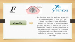 F
• Es el trabajo muscular realizado para emitir
sonidos inteligibles, es decir, para que
exista la comunicación oral. El objetivo
último de la fonación es la articulación de
palabras, a través del proceso por el cual se
modifica la corriente de aire procedente de
los pulmones y la laringe en las cavidades
supraglóticas como consecuencia de los
cambios de volumen y de forma de estas
cavidades.
Fonación.-
 