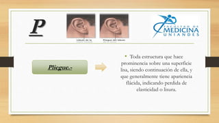 P
• Toda estructura que hace
prominencia sobre una superficie
lisa, siendo continuación de ella, y
que generalmente tiene apariencia
flácida, indicando perdida de
elasticidad o lisura.
Pliegue.-
 