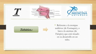 T
• Referente a la trompas
auditivas (de Eustaquio), o
bien a la uterinas (de
Falopio); que está situado
en su desarrollo en un
tubo.
Tubárico.-
 
