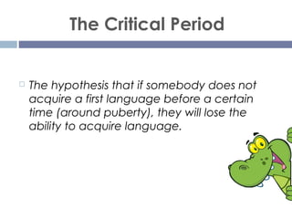 The Critical Period
 The hypothesis that if somebody does not
acquire a first language before a certain
time (around pube...
