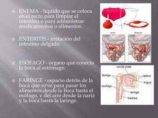  ENEMA - líquido que se coloca
en el recto para limpiar el
intestino o para administrar
medicamentos o alimentos.
 ENTERITIS - irritación del
intestino delgado.
 ESÓFAGO - órgano que conecta
la boca al estómago.
 FARINGE - espacio detrás de la
boca que sirve para pasar los
alimentos desde la boca hasta el
esófago, y del aire desde la nariz
y la boca hasta la laringe.
 