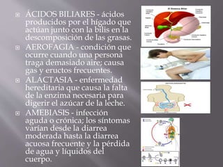  ÁCIDOS BILIARES - ácidos
producidos por el hígado que
actúan junto con la bilis en la
descomposición de las grasas.
 AEROFAGIA - condición que
ocurre cuando una persona
traga demasiado aire; causa
gas y eructos frecuentes.
 ALACTASIA - enfermedad
hereditaria que causa la falta
de la enzima necesaria para
digerir el azúcar de la leche.
 AMEBIASIS - infección
aguda o crónica; los síntomas
varían desde la diarrea
moderada hasta la diarrea
acuosa frecuente y la pérdida
de agua y líquidos del
cuerpo.
 