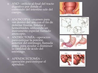  ANO - orificio al final del tracto
digestivo por donde el
contenido del intestino sale del
cuerpo.
 ANOSCOPIA - examen para
ver dentro del ano con el fin de
detectar fisuras, fístulas y
hemorroides, utilizando un
instrumento especial llamado
anoscopio.
 ANTRECTOMÍA - operación
para extirpar la porción
anterior del estómago, llamada
antro, para ayudar a disminuir
la cantidad de ácido del
estómago.
 APENDICECTOMÍA -
operación para extirpar el
apéndice.
 