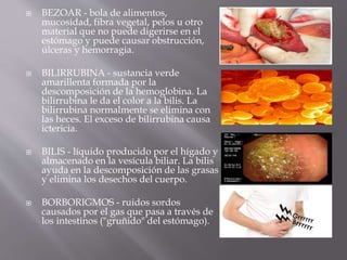  BEZOAR - bola de alimentos,
mucosidad, fibra vegetal, pelos u otro
material que no puede digerirse en el
estómago y puede causar obstrucción,
úlceras y hemorragia.
 BILIRRUBINA - sustancia verde
amarillenta formada por la
descomposición de la hemoglobina. La
bilirrubina le da el color a la bilis. La
bilirrubina normalmente se elimina con
las heces. El exceso de bilirrubina causa
ictericia.
 BILIS - líquido producido por el hígado y
almacenado en la vesícula biliar. La bilis
ayuda en la descomposición de las grasas
y elimina los desechos del cuerpo.
 BORBORIGMOS - ruidos sordos
causados por el gas que pasa a través de
los intestinos ("gruñido" del estómago).
 