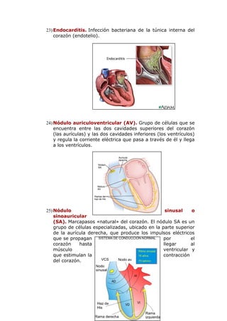 Glosario de sistema cardiovascular