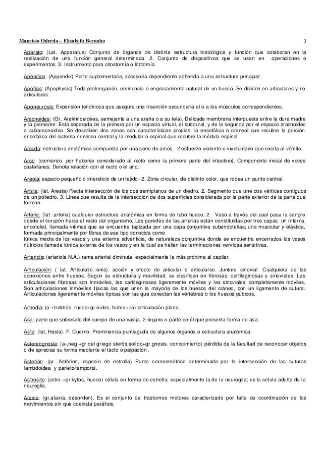 cadena iliaca primitiva derecha glosario de terminos anatomicos cadena iliaca primitiva derecha glosario de terminos anatomicos