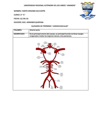 UNIVERSIDAD REGIONAL AUTÒNOMA DE LOS ANDES “UNIANDES”
NOMBRE: FARITH ARGENIS VACA ESPÌN
CURSO: 2º “C·”
FECHA: 12/06/15
DOCENTE: DOC. ARMANDO QUINTANA
GLOSARIO DE TÈRMINOS “CARDIOVASCULAR”
PALABRA: Arteria aorta
SIGNIFICADO: Es la principal arteria del cuerpo, su principal función es llevar sangre
oxigenada a todos los órganos menos a los pulmones.
 