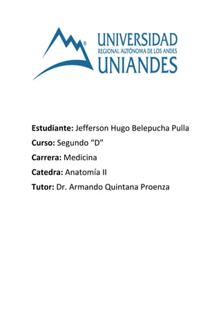 Estudiante: Jefferson Hugo Belepucha Pulla
Curso: Segundo “D”
Carrera: Medicina
Catedra: Anatomía II
Tutor: Dr. Armando Quintana Proenza
 