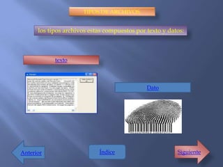 TIPOS DE ARCHIVOS.


      los tipos archivos estas compuestos por texto y datos:



            texto



                                              Dato




Anterior                    Índice                       Siguiente
 