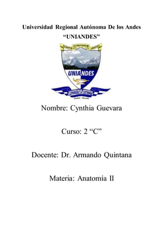 Universidad Regional Autónoma De los Andes
“UNIANDES”
Nombre: Cynthia Guevara
Curso: 2 “C”
Docente: Dr. Armando Quintana
Materia: Anatomía II
 
