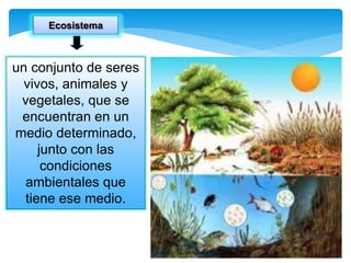 un conjunto de seres
vivos, animales y
vegetales, que se
encuentran en un
medio determinado,
junto con las
condiciones
ambientales que
tiene ese medio.
Ecosistema
 