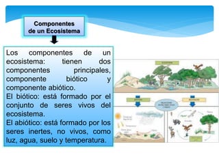 Los componentes de un
ecosistema: tienen dos
componentes principales,
componente biótico y
componente abiótico.
El biótico: está formado por el
conjunto de seres vivos del
ecosistema.
El abiótico: está formado por los
seres inertes, no vivos, como
luz, agua, suelo y temperatura.
Componentes
de un Ecosistema
 