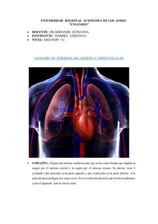 UNIVERSIDAD REGIONAL AUTONOMA DE LOS ANDES
“UNIANDES”
 DOCENTE: DR.ARMANDO QUINTANA.
 ESTUDIANTE: MARIBEL SAQUINGA.
 NIVEL: SEGUNDO “A”.
GLOSARIO DE TÉRMINOS DEL SISTEMA CARDIOVASCULAR
 CORAZÓN.- Órgano del sistema cardiovascular que actúa como bomba que impulsa la
sangre por el sistema arterial y la aspira por el sistema venoso. Su interior tiene 4
cavidades: dos aurículas en la parte superior y dos ventrículos en la parte inferior. A la
aurícula derecha llegan las venas cavas.Porel ventrículo derecho sale la arteria pulmonar
y por el izquierdo sale la arteria aorta.
 