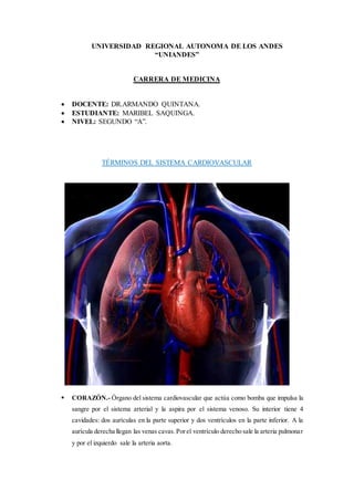 UNIVERSIDAD REGIONAL AUTONOMA DE LOS ANDES
“UNIANDES”
CARRERA DE MEDICINA
 DOCENTE: DR.ARMANDO QUINTANA.
 ESTUDIANTE: MARIBEL SAQUINGA.
 NIVEL: SEGUNDO “A”.
TÉRMINOS DEL SISTEMA CARDIOVASCULAR
 CORAZÓN.- Órgano del sistema cardiovascular que actúa como bomba que impulsa la
sangre por el sistema arterial y la aspira por el sistema venoso. Su interior tiene 4
cavidades: dos aurículas en la parte superior y dos ventrículos en la parte inferior. A la
aurícula derecha llegan las venas cavas.Porel ventrículo derecho sale la arteria pulmonar
y por el izquierdo sale la arteria aorta.
 