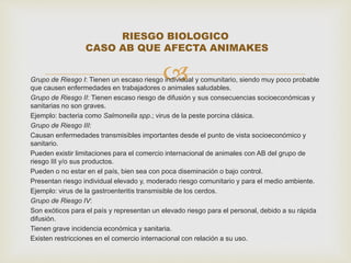 RIESGO BIOLOGICO 
CASO AB QUE AFECTA ANIMAKES 
 
Grupo de Riesgo I: Tienen un escaso riesgo individual y comunitario, siendo muy poco probable 
que causen enfermedades en trabajadores o animales saludables. 
Grupo de Riesgo II: Tienen escaso riesgo de difusión y sus consecuencias socioeconómicas y 
sanitarias no son graves. 
Ejemplo: bacteria como Salmonella spp.; virus de la peste porcina clásica. 
Grupo de Riesgo III: 
Causan enfermedades transmisibles importantes desde el punto de vista socioeconómico y 
sanitario. 
Pueden existir limitaciones para el comercio internacional de animales con AB del grupo de 
riesgo III y/o sus productos. 
Pueden o no estar en el país, bien sea con poca diseminación o bajo control. 
Presentan riesgo individual elevado y, moderado riesgo comunitario y para el medio ambiente. 
Ejemplo: virus de la gastroenteritis transmisible de los cerdos. 
Grupo de Riesgo IV: 
Son exóticos para el país y representan un elevado riesgo para el personal, debido a su rápida 
difusión. 
Tienen grave incidencia económica y sanitaria. 
Existen restricciones en el comercio internacional con relación a su uso. 
 