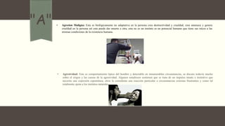 "A" • Agresion Maligna: Esta es biológicamente no adaptativa en la persona crea destructividad y crueldad, crea amenaza y genera
crueldad en la persona así esta puede dar muerte a otra, esta no es un instinto es un potencial humano que tiene sus raíces a las
mismas condiciones de la existencia humana.
• Agresividad: Este es comportamiento típico del hombre y detectable en innumerables circunstancias, se discute todavía mucho
sobre el origen y las causas de la agresividad. Algunos estudiosos sostienen que se trata de un impulso innato e instintivo que
necesita una expresión espontánea; otros la consideran una reacción particular a circunstancias externas frustrantes y como tal
totalmente ajena a los instintos naturales.
 