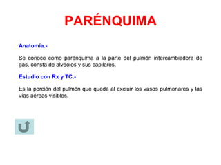 PARÉNQUIMA
Anatomía.-
Se conoce como parénquima a la parte del pulmón intercambiadora de
gas, consta de alvéolos y sus capilares.
Estudio con Rx y TC.-
Es la porción del pulmón que queda al excluir los vasos pulmonares y las
vías aéreas visibles.
 