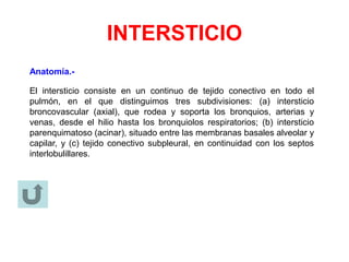 INTERSTICIO
Anatomía.-
El intersticio consiste en un continuo de tejido conectivo en todo el
pulmón, en el que distinguimos tres subdivisiones: (a) intersticio
broncovascular (axial), que rodea y soporta los bronquios, arterias y
venas, desde el hilio hasta los bronquiolos respiratorios; (b) intersticio
parenquimatoso (acinar), situado entre las membranas basales alveolar y
capilar, y (c) tejido conectivo subpleural, en continuidad con los septos
interlobulillares.
 