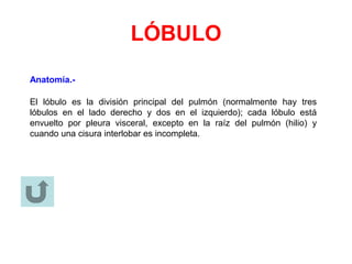 LÓBULO
Anatomía.-
El lóbulo es la división principal del pulmón (normalmente hay tres
lóbulos en el lado derecho y dos en el izquierdo); cada lóbulo está
envuelto por pleura visceral, excepto en la raíz del pulmón (hilio) y
cuando una cisura interlobar es incompleta.
 