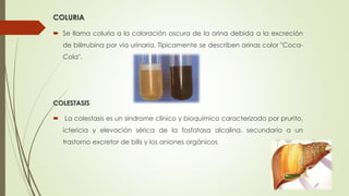 COLURIA
 Se llama coluria a la coloración oscura de la orina debida a la excreción
de bilirrubina por vía urinaria. Típicamente se describen orinas color "Coca-
Cola".
COLESTASIS
 La colestasis es un síndrome clínico y bioquímico caracterizado por prurito,
ictericia y elevación sérica de la fosfatasa alcalina, secundario a un
trastorno excretor de bilis y los aniones orgánicos
 